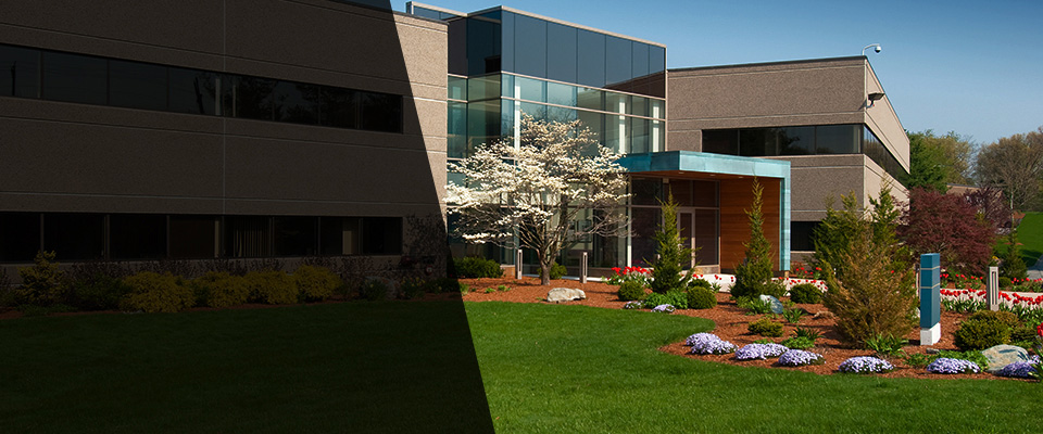 Baltimore Landscapers