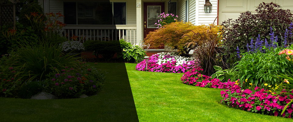 Baltimore Landscapers