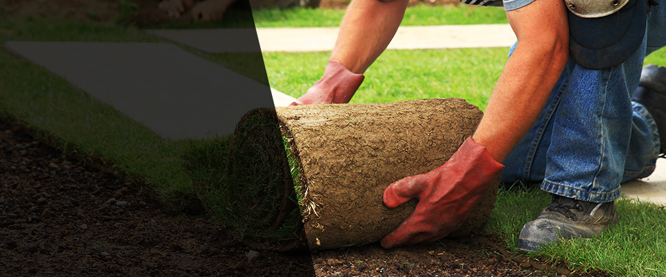 Baltimore Landscapers